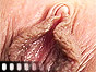 Click for download